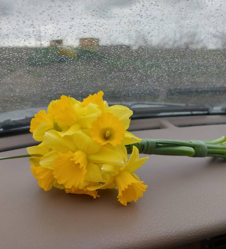 پیاز نرگس هلندی ژونکی (بسته ۲۵۰ گرمی) سایز درهم
